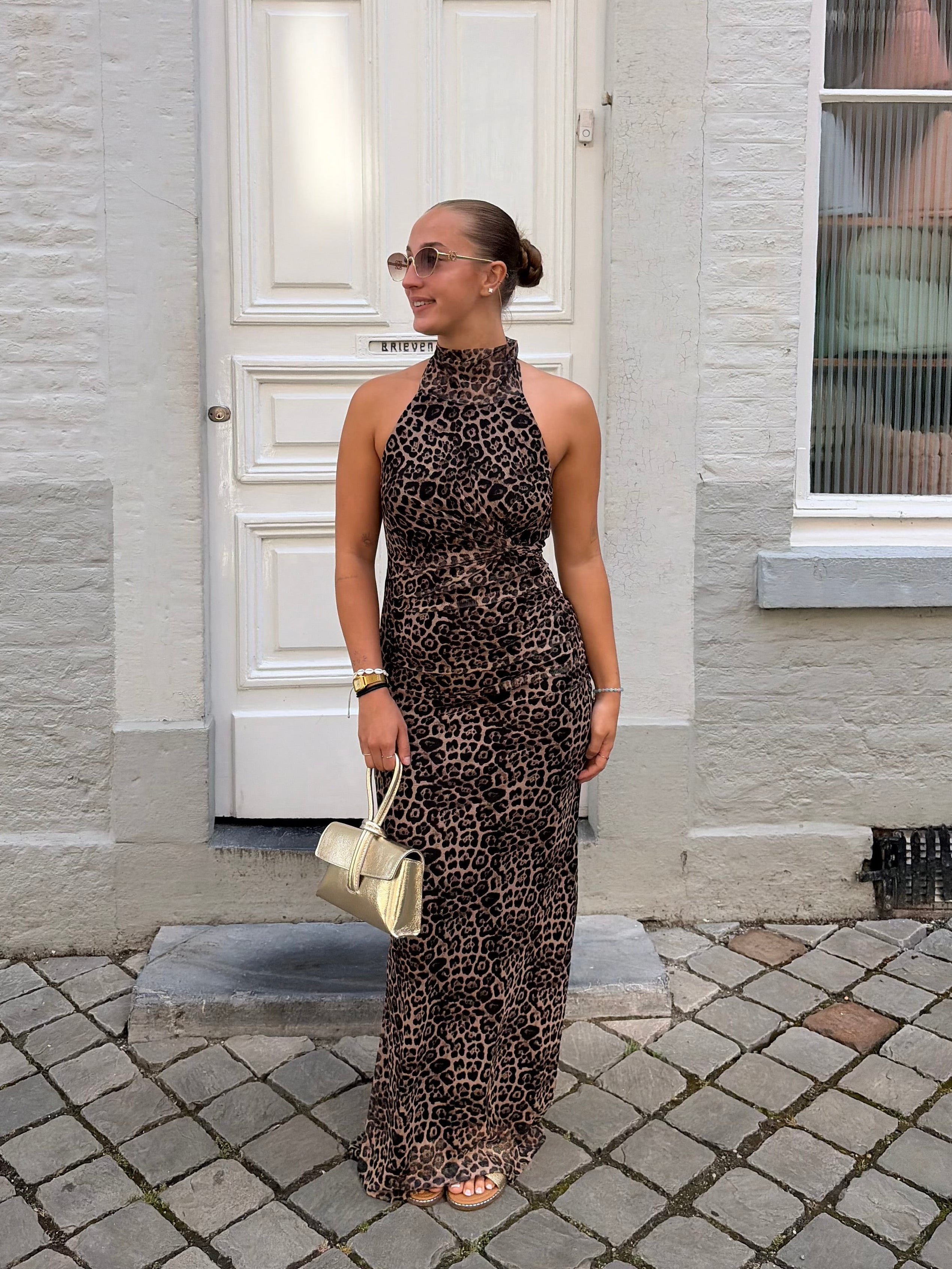 Leo dress | Brown